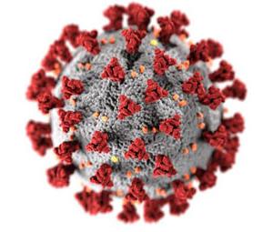 疾病预防控制中心的新型冠状病毒肺炎病毒插图显示球形病毒粒子上的红色尖峰